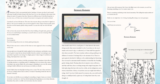 Soft Power Society Monthly Letter/Print Club